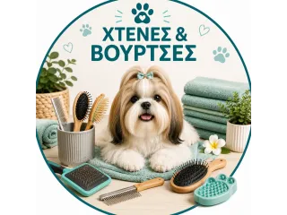 Χτένες & Βούρτσες