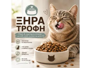 Ξηρά Τροφή
