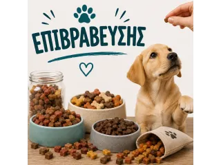 Επιβράβευσης