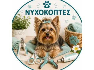 Νυχοκόπτες