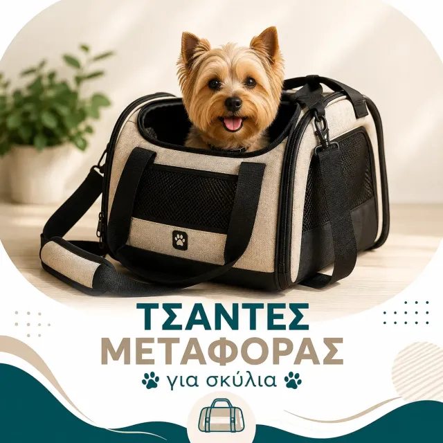 Τσάντες Μεταφοράς