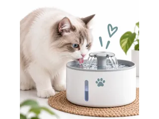 Σιντριβάνια