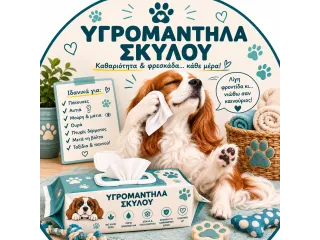Υγρομάντηλα