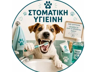 Στοματική Υγιεινή