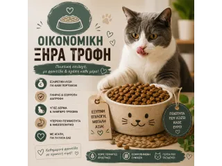 Οικονομική