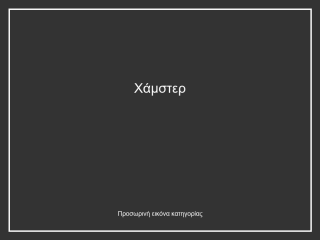 Χάμστερ