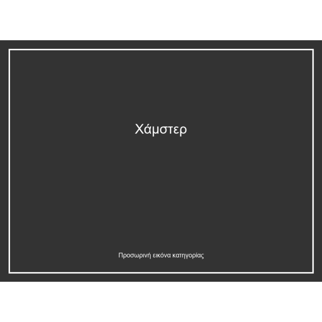 Χάμστερ