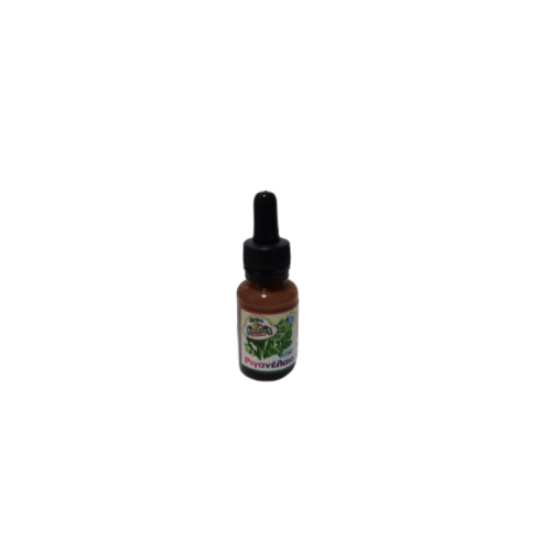 Ριγανέλαιο 15ml